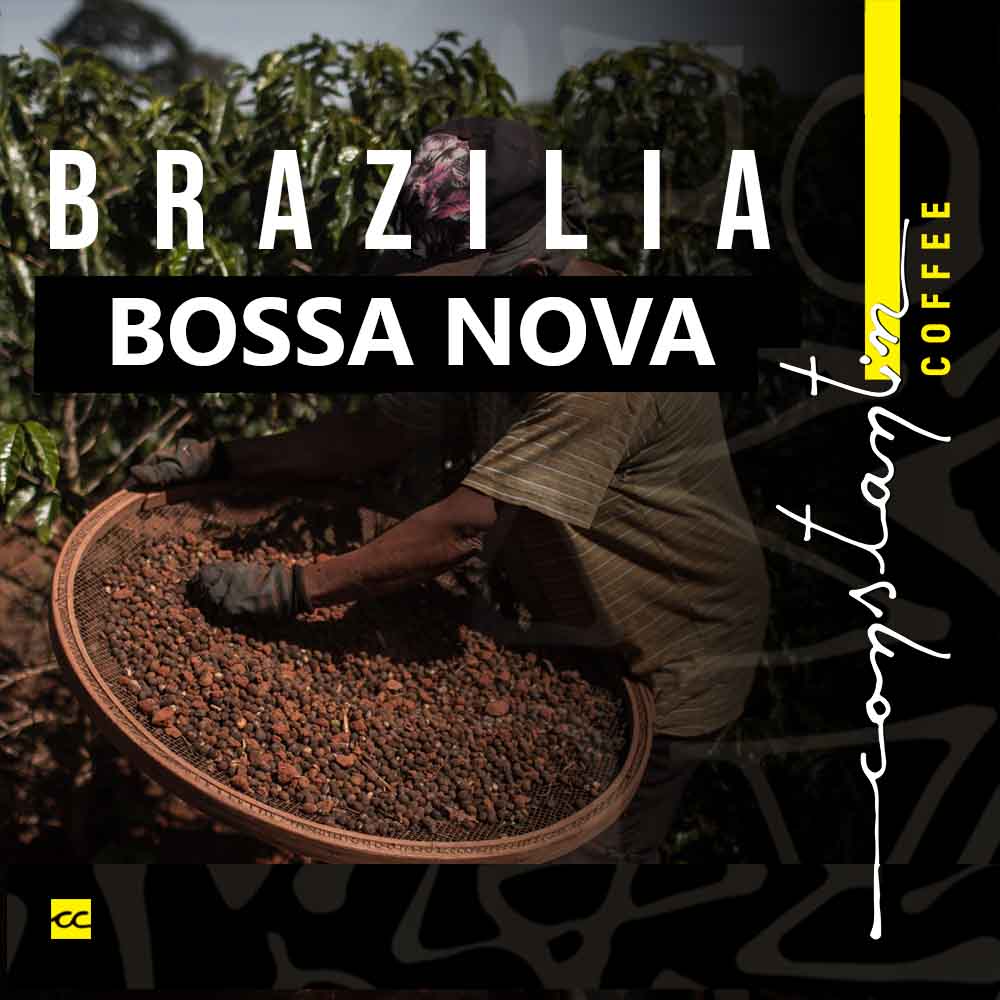 cafea-boabe-de-specialitate-brazilia