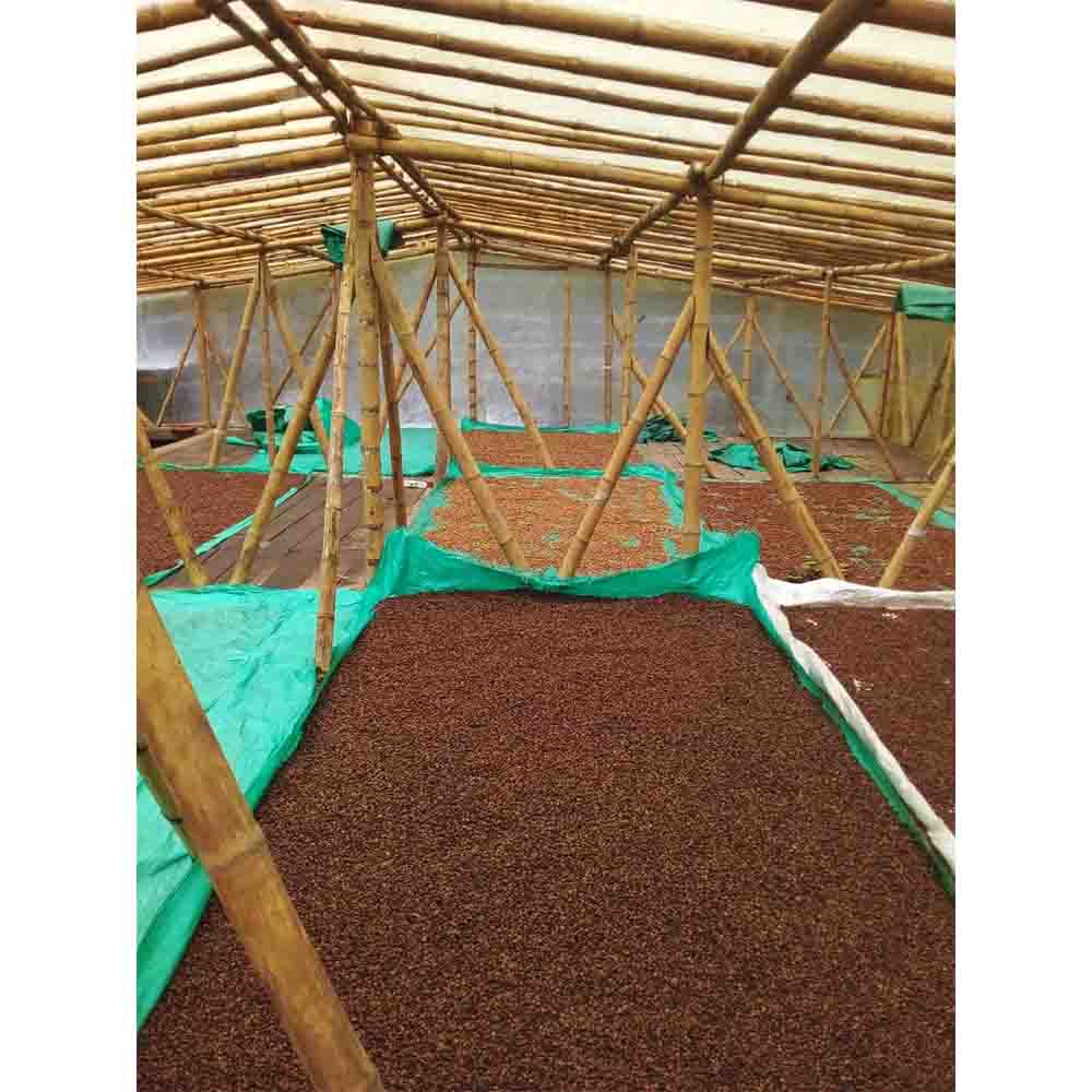 cafea-de-specialitate-One