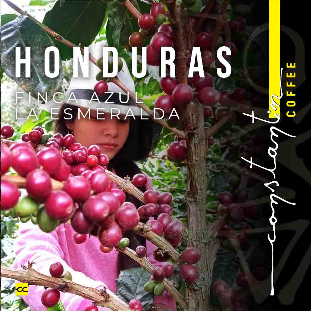 cafea-de-specialitate-honduras