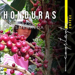 cafea-de-specialitate-honduras