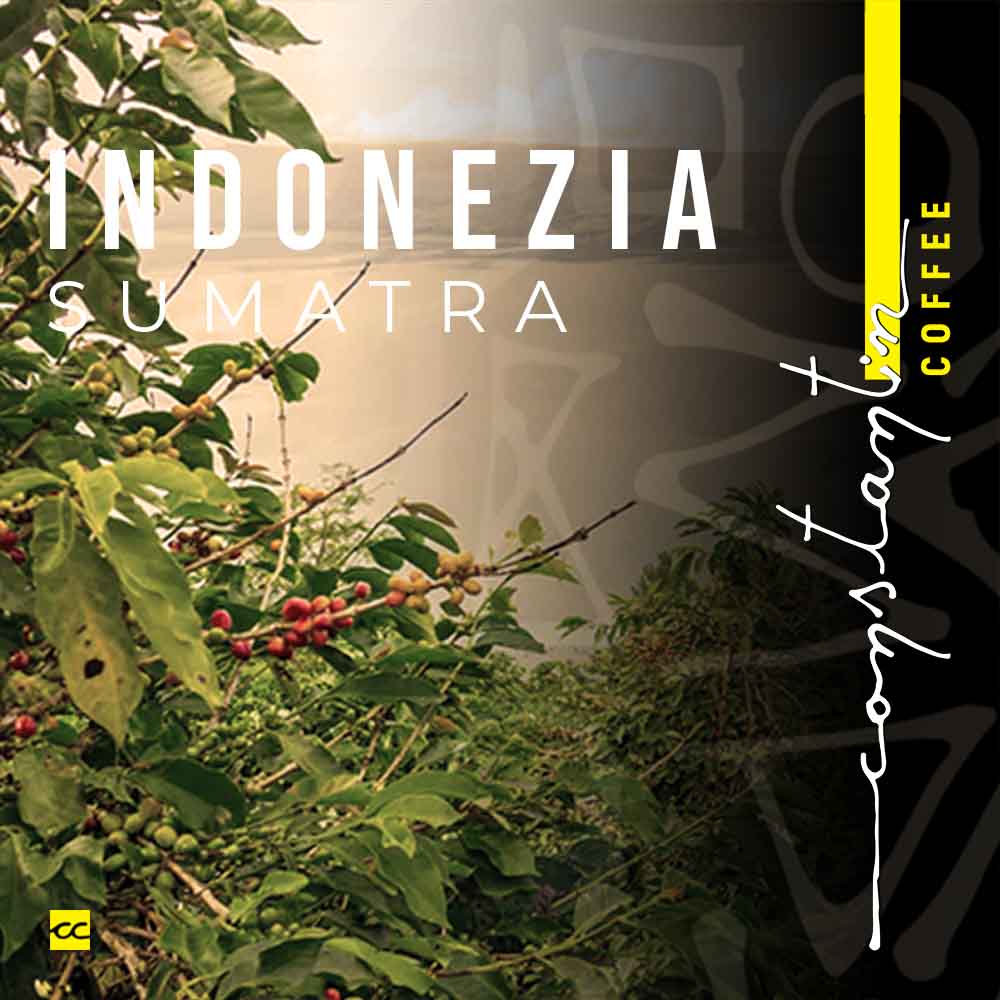 cafea-de-specialitate-indonezia-sumatra