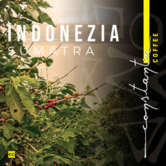 cafea-de-specialitate-indonezia-sumatra